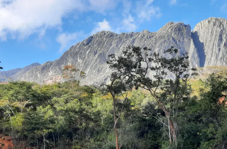 Wooded slopes in the foreground below the bare rock ridgeline of the Chimanimani mountains