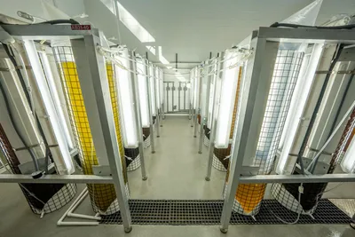 UK and US Join Forces to Boost Fusion Energy Development