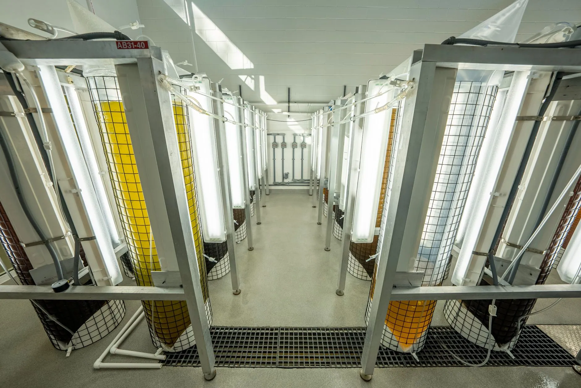 UK and US Join Forces to Boost Fusion Energy Development