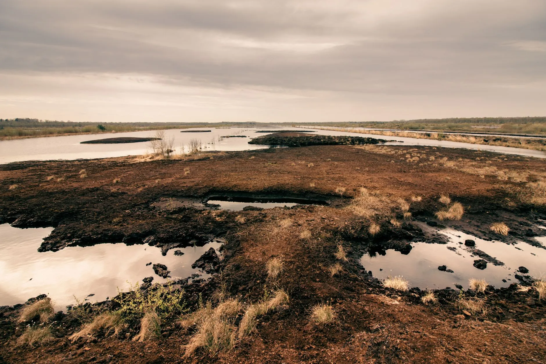 Shetland Islands Council's Pilot Peatland Restoration Project