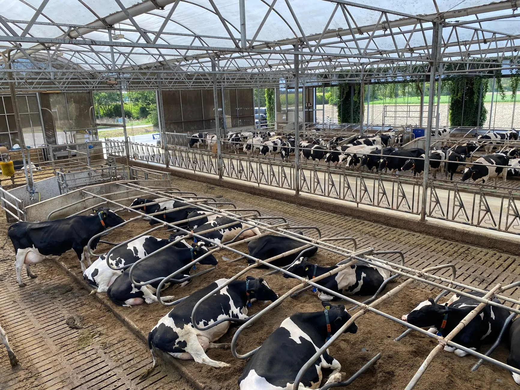 Barry Callebaut launches first dairy eco project with Arla Foods