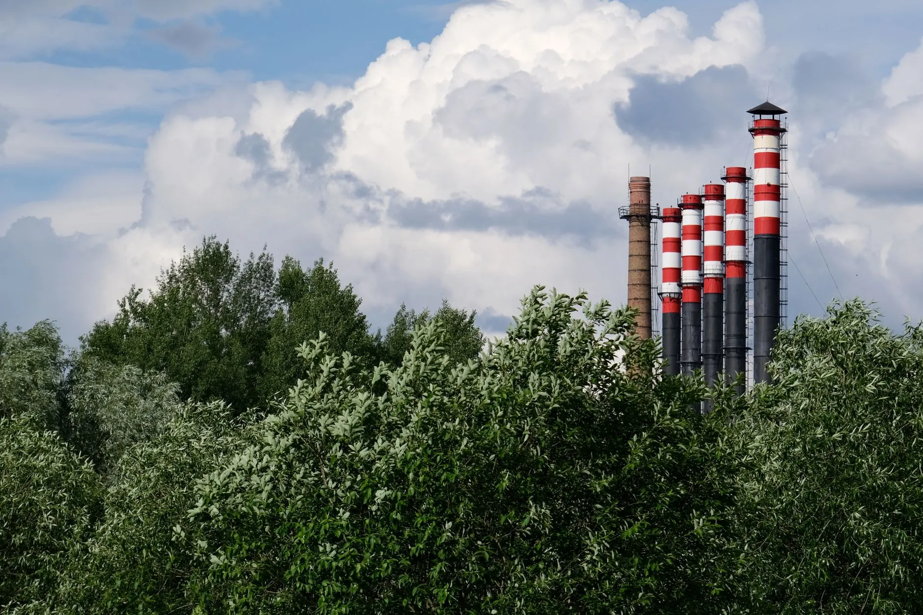 From climate idea to marketable credit