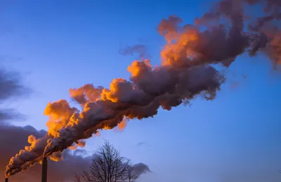 What Microsoft learned from purchasing millions of carbon removal credits