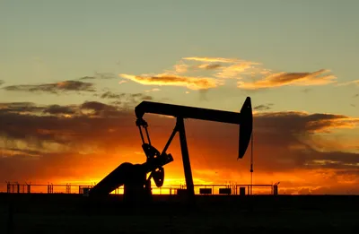 Government urged to clarify roadmap away from fossil fuels