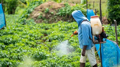 Giving farmers a more sustainable way to protect crops
