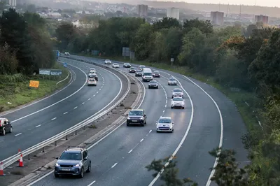 Nature-Positive Procurement in Transport Infrastructure