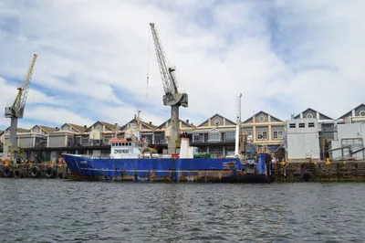 Study: Reducing Shipping Emissions through Port Electrification