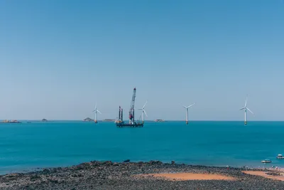 Borkum Riffgrund 3 Impact Report Released