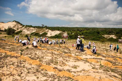 Global land restoration gains ground, but falls short of commitments