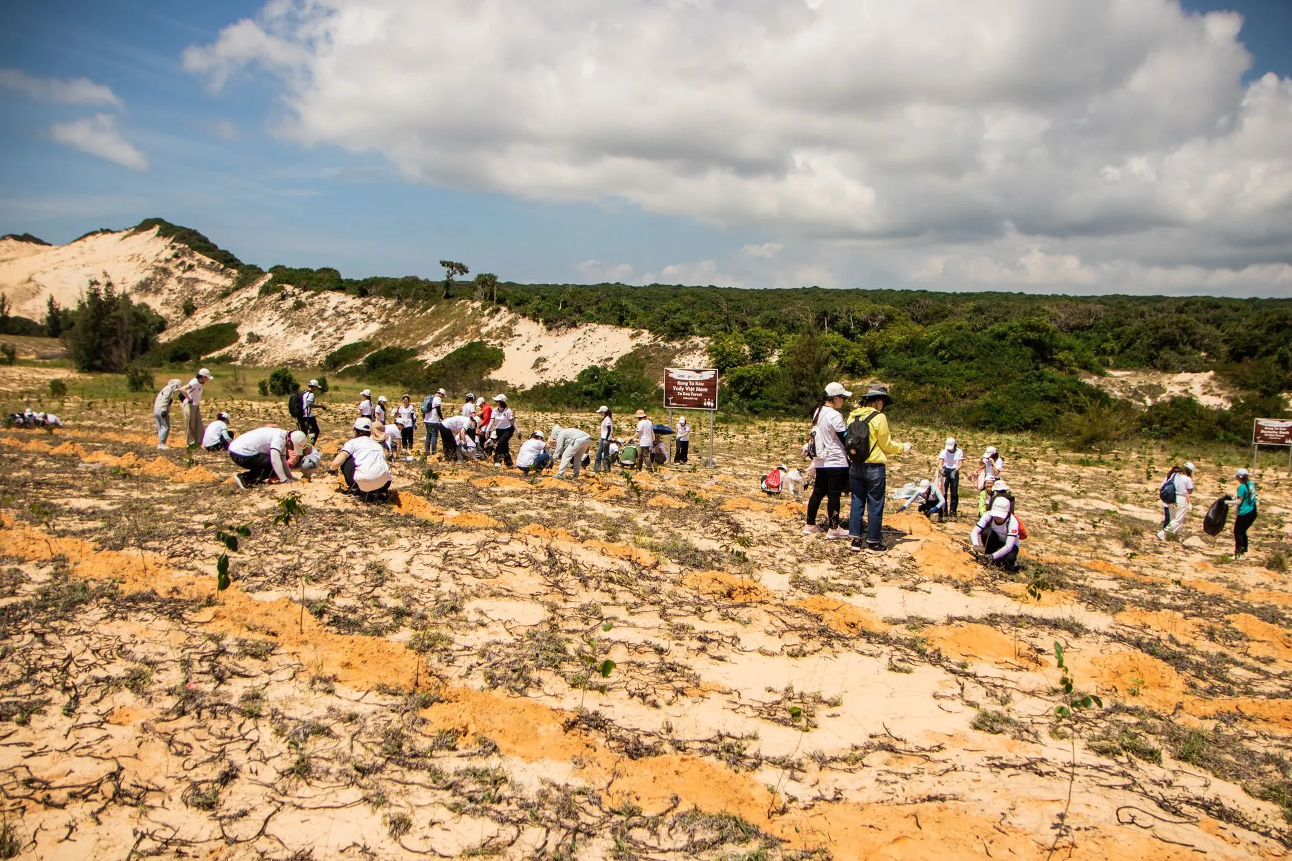 Global land restoration gains ground, but falls short of commitments