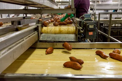Is food and drink doing a U-turn on sustainability?