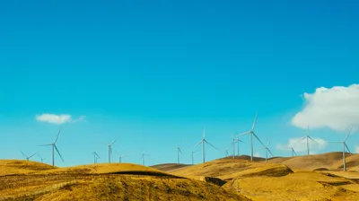 ReNew Reports Significant Reduction in Scope 1 & 2 Emissions