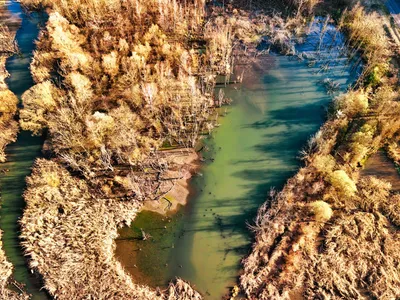 Emerging Water Solutions For Carbon Reduction And Ecosystem Recovery