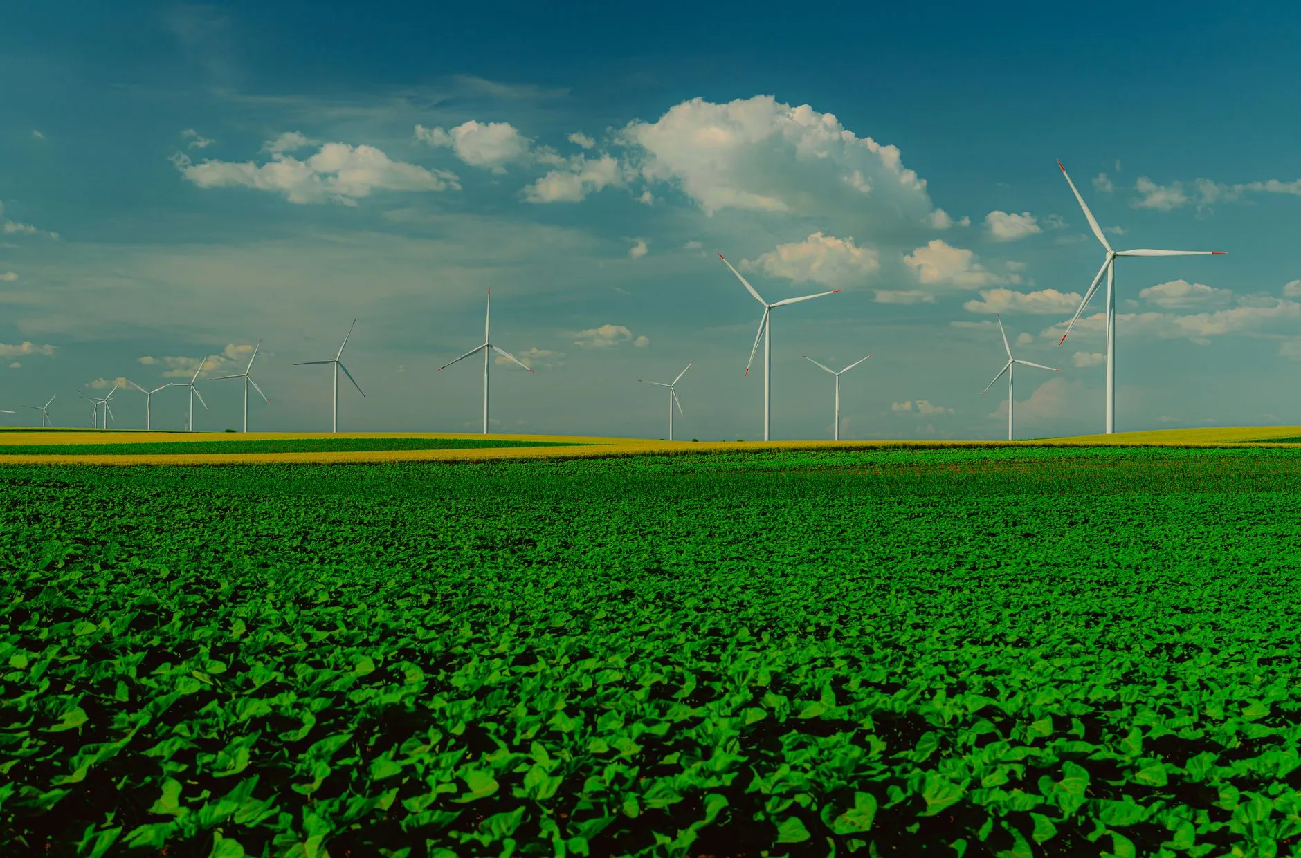 Spain, Portugal and Luxembourg push for 2040 EU renewable energy target