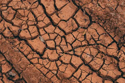 When extreme weather rewrites the soil carbon cycle