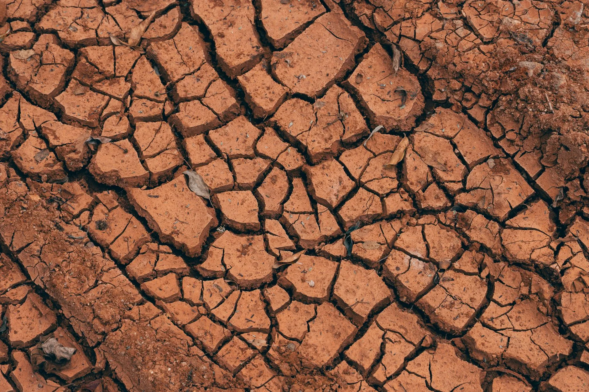 When extreme weather rewrites the soil carbon cycle
