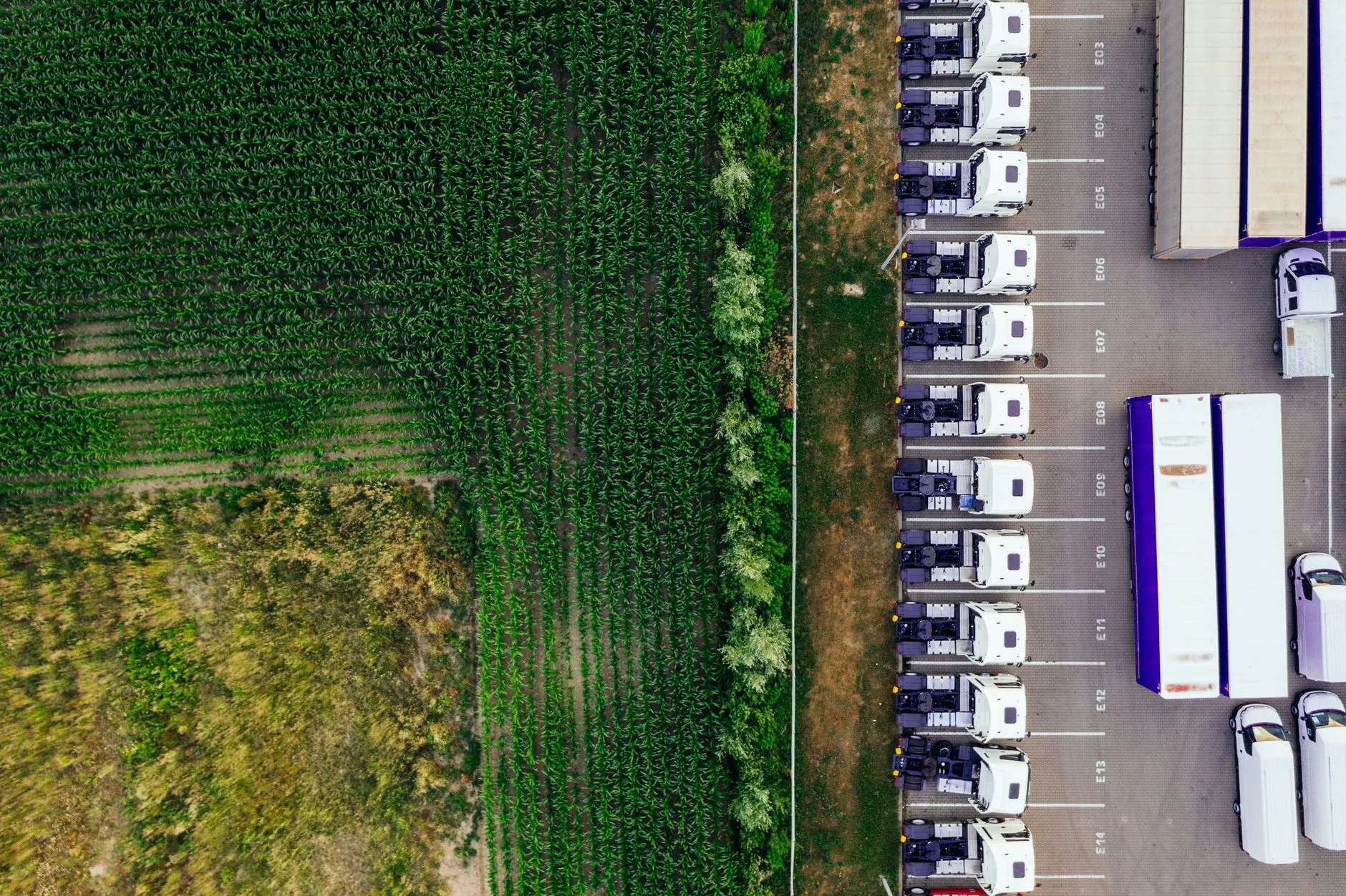 Driving Sustainability in Our Supply Chain