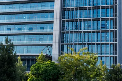 From Sustainability to Security: The Evolving Role of PPAs