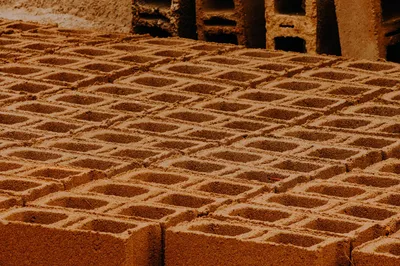 Sustainability Uncovered: Bio-based Materials in Construction