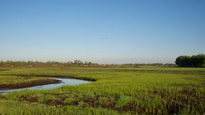 COP17: New Investment Matchmaking Hub to Address $278 Billion Land Restoration Gap