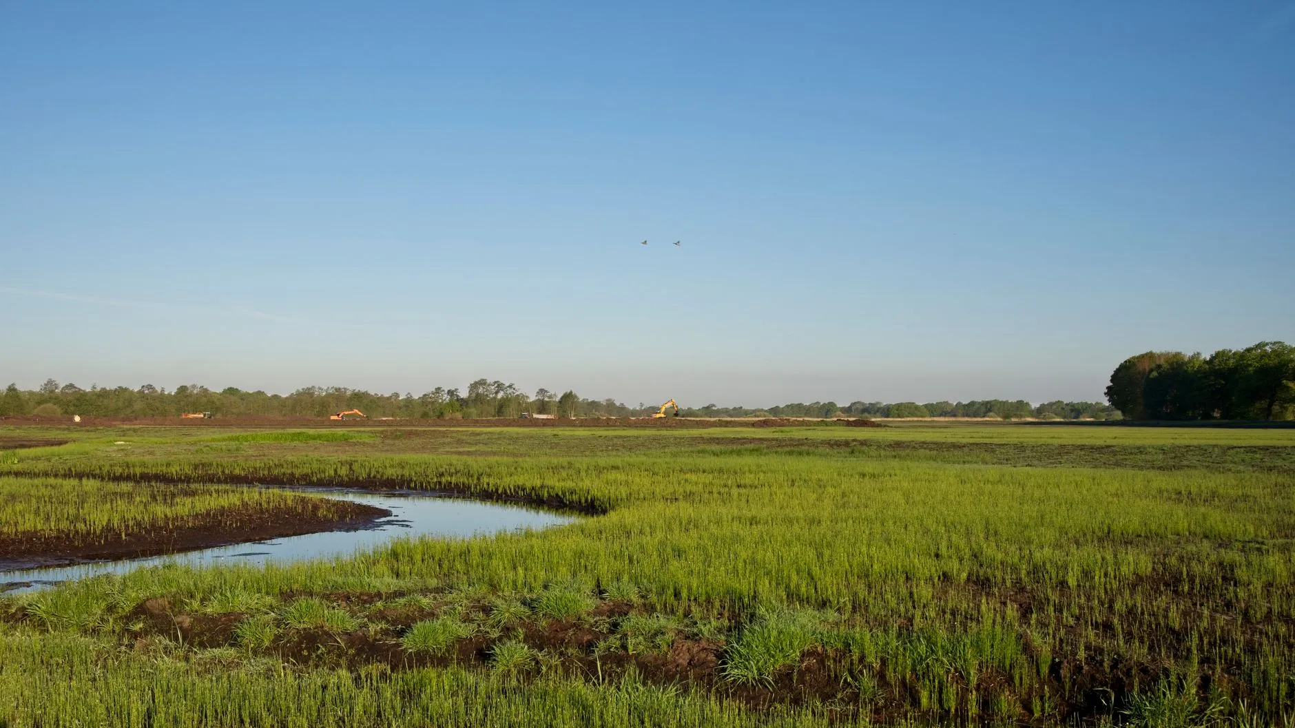 COP17: New Investment Matchmaking Hub to Address $278 Billion Land Restoration Gap