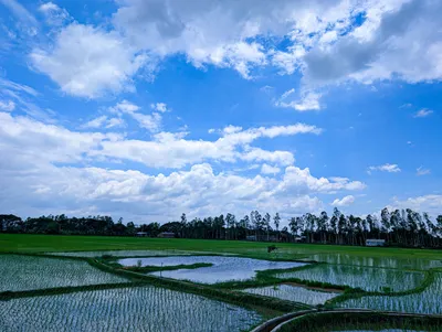 Mapping Carbon and Biodiversity Losses in Agriculture