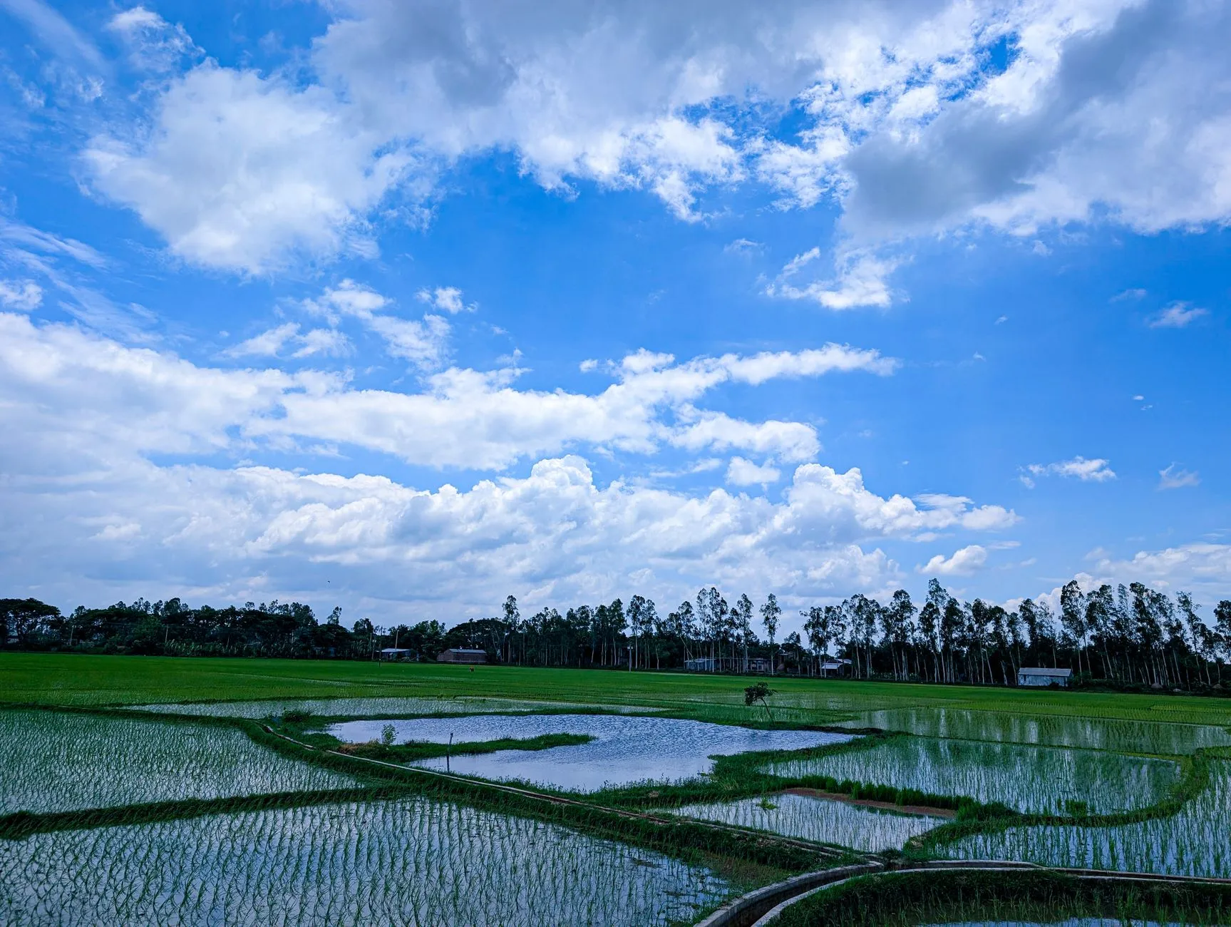 Mapping Carbon and Biodiversity Losses in Agriculture