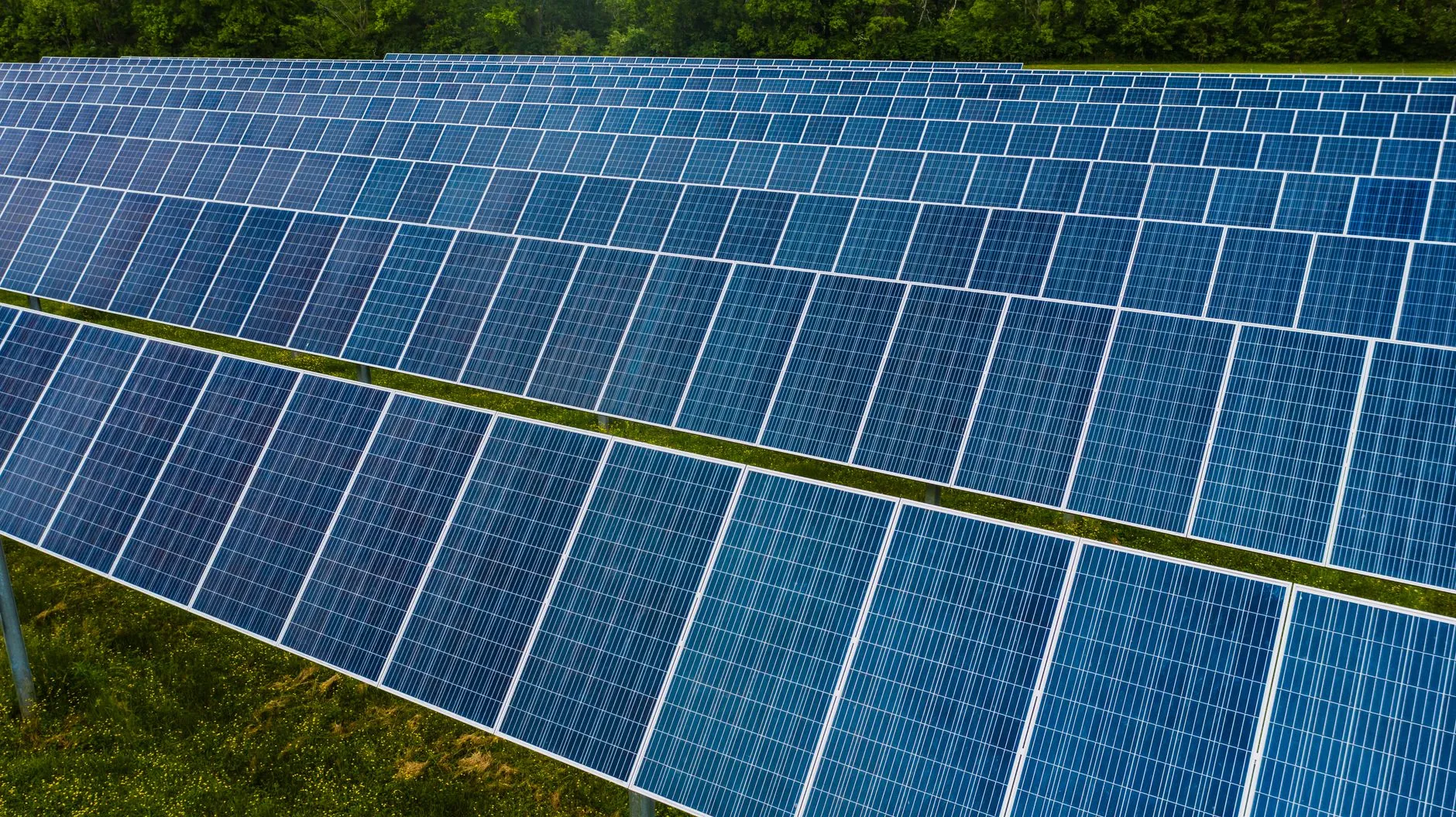 How Riverford is Cutting Emissions with Renewable Energy