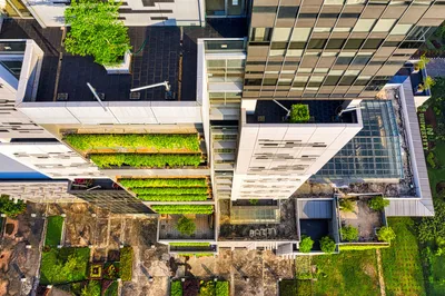 Who Is L’Oréal’s New Director of Sustainability?