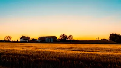 Food Systems and Carbon Markets: Underrepresented Farm Emissions