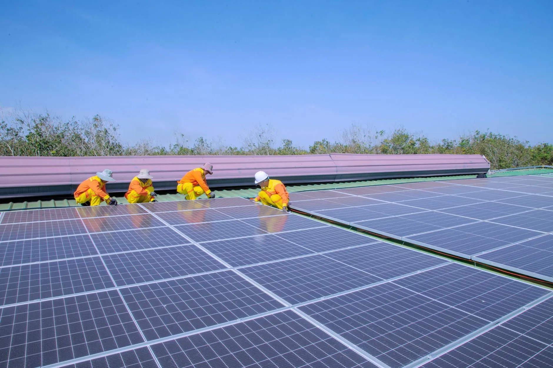 What SMEs Need to Know Before Investing in Solar