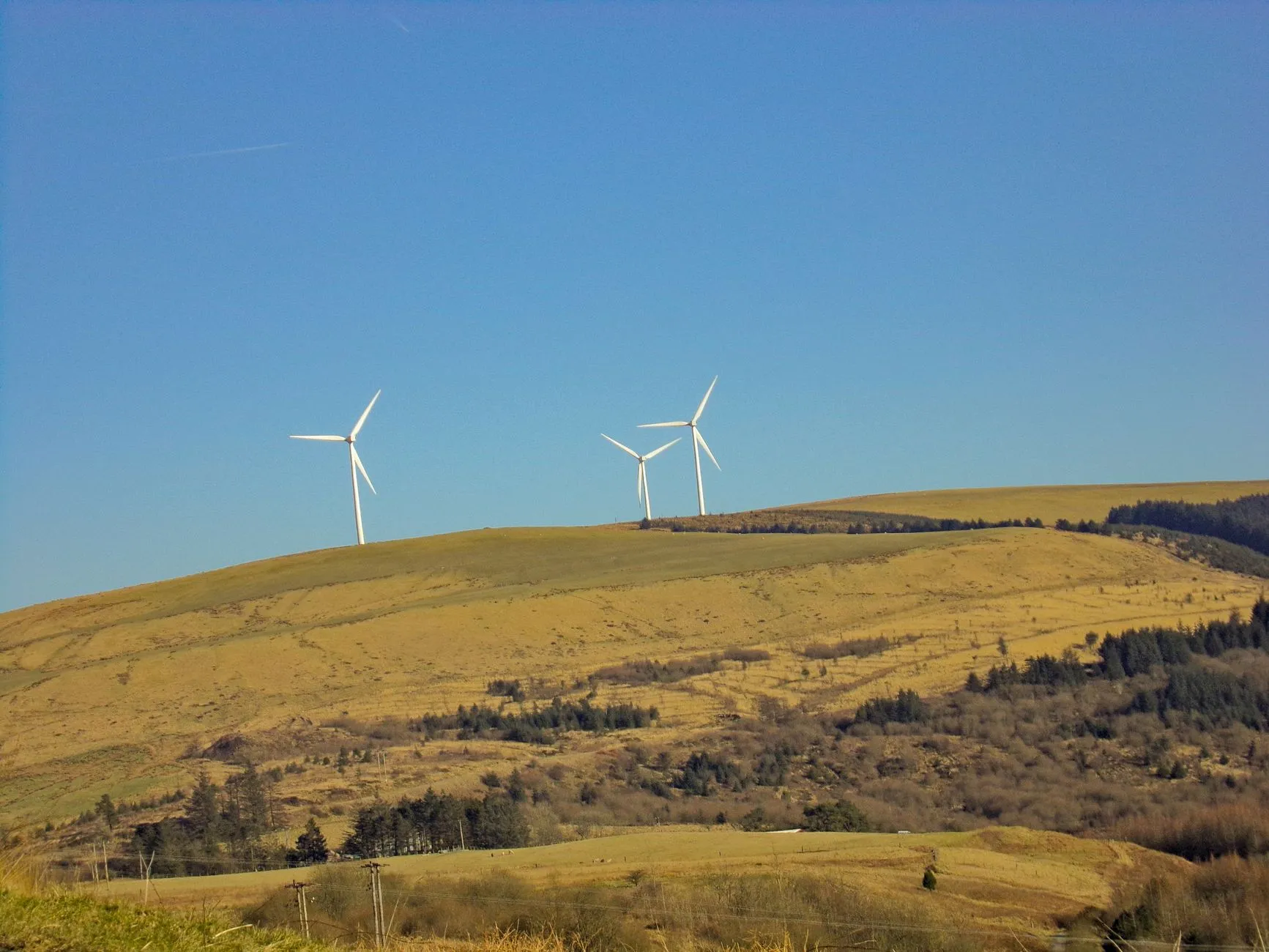 Clean power contract auction could slash energy bills by £11bn