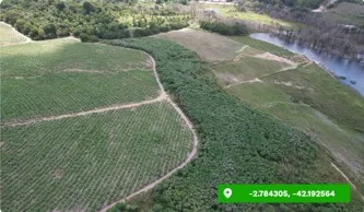 Aerial view of cultivated fields meeting a band of dense riverside vegetation along a winding waterway