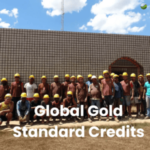 Global Gold Standard Credits