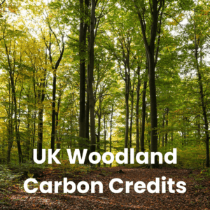 SBS_Nature UK Woodland Carbon Credits